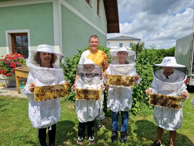 Johann Steinmair, Bezirksobmann der Imker Kirchdorf. | Foto: Johann Steinmair