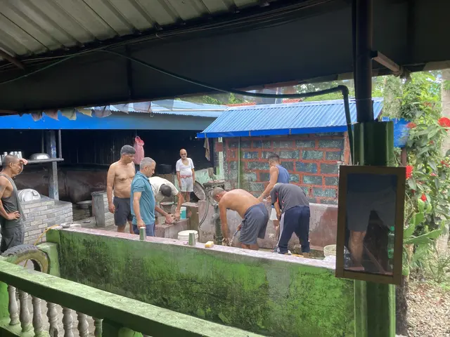 Foto: Stefan Liebhart