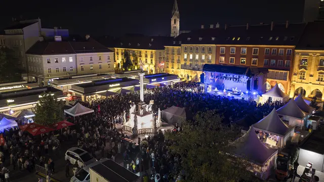 Wolfgang Ambros von oben. | Foto: Stadt Wiener Neustadt/Weller