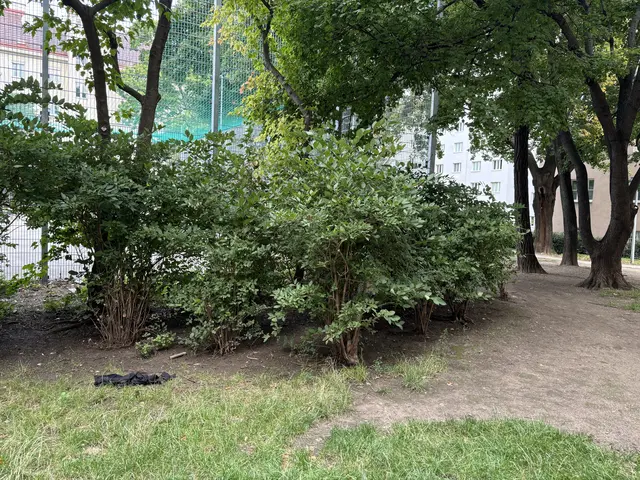 Foto: Nathanael Peterlini/MeinBezirk