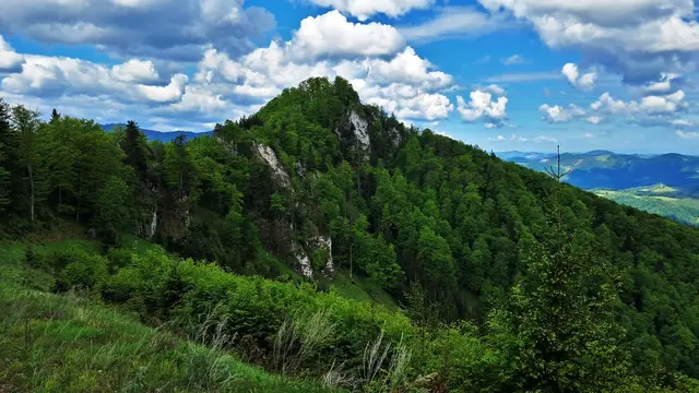 Titelbild 2:  Der Gipfel des Wendlgupfs (1.110 m ü.A.) | Foto: © Silvia Plischek