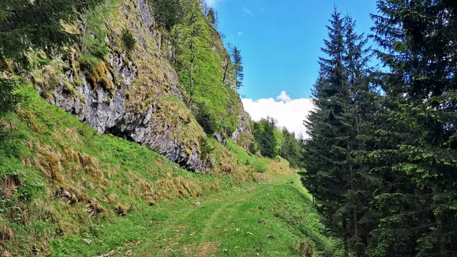 Weiter geht's! ... | Foto: © Silvia Plischek