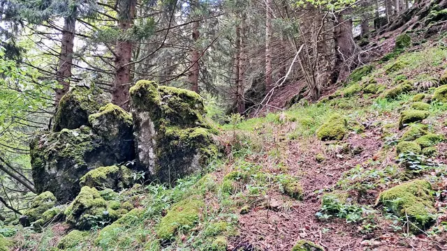 Die letzte Aufstiegsetappe erweist sich als sehr mühsam und schweißtreibend, ist aber ... | Foto: © Silvia Plischek