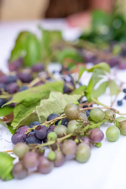 Foto: MV St. Magdalena