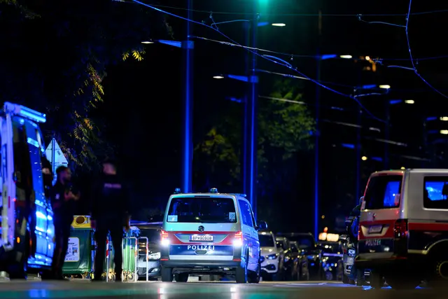 Foto: MAX SLOVENCIK / APA / picturedesk.com