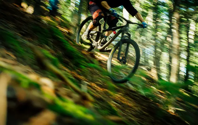 Im Bezirk kam es zu einem schweren Unfall mit Mountainbike. (Symbolfoto) | Foto: Tim Foster auf Unsplash