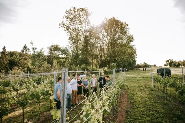 Am Weinberg | Foto: Armin Rogl