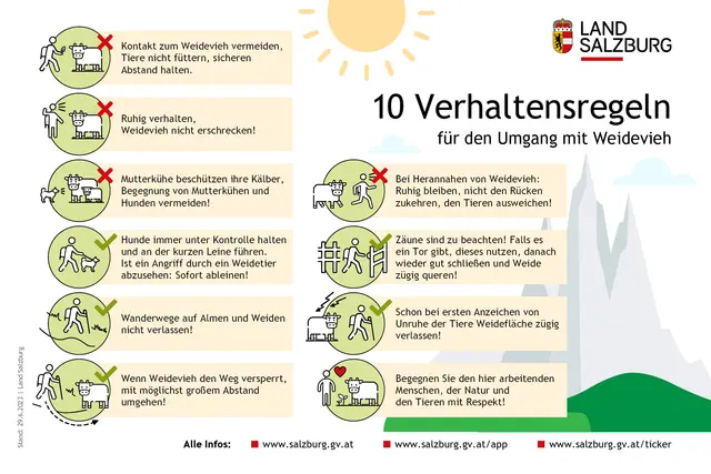 Infografik des Landes Salzburg mit zehn Verhaltensregeln für den Umgang mit Weidevieh (Stand: 29.06.2023) | Foto:  Land Salzburg/Grafik 