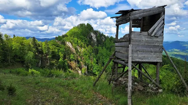 In unmittelbarer Nähe des Gipfelbereichs. ... | Foto: © Silvia Plischek
