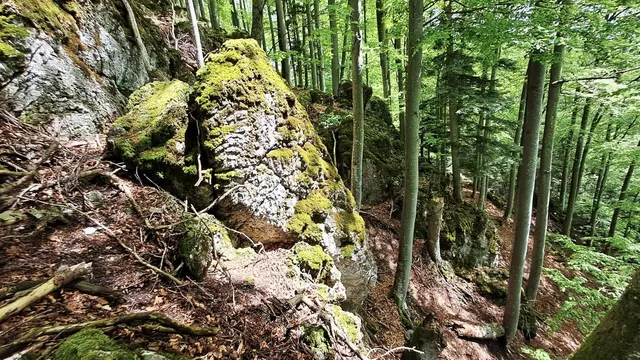 Beim Abstieg! ... | Foto: © Silvia Plischek