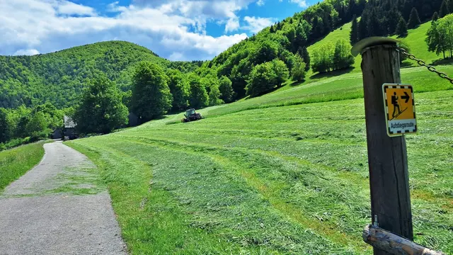 Ein eindrucksvoller Wandertag geht zu Ende! ... Auf Wiedersehen, bis zum nächsten Mal im Gölsental! | Foto: © Silvia Plischek