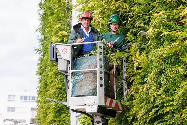 Herbert Eipeldauer, Innungsmeister der Wiener Gartengestalter und Floristen der Wirtschaftskammer Wien (l.) zusammen mit Lehrling Philipp Kastl. | Foto: Wieser/WKW