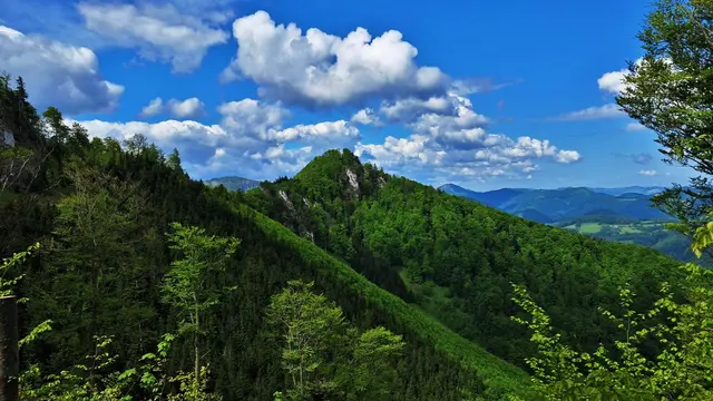 Der Wendlgupf ist bereits zum Greifen nah! ... :-)) ... | Foto: © Silvia Plischek