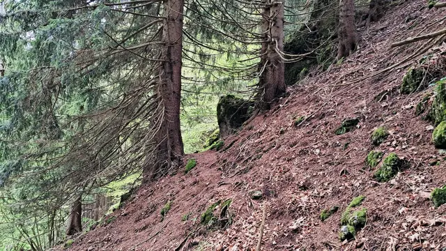 ... dennoch ein uriges Erlebnis! ...  | Foto: © Silvia Plischek