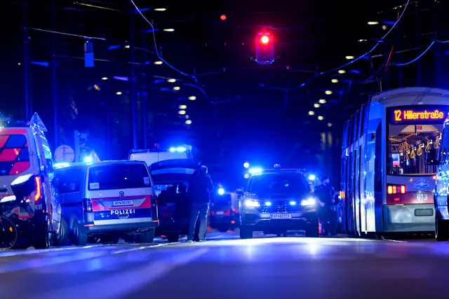 Foto: MAX SLOVENCIK / APA / picturedesk.com