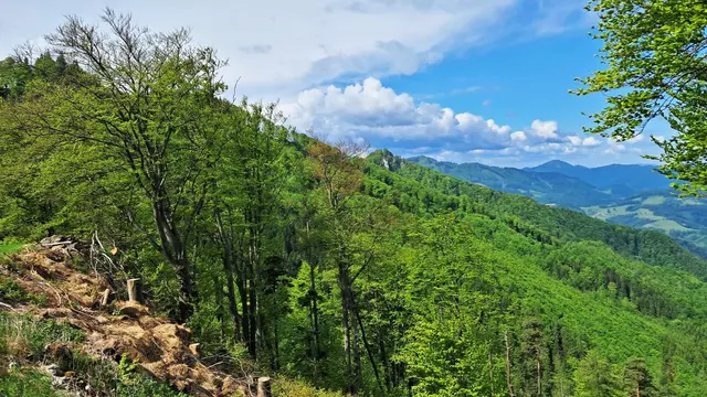 ... ein erster Blick zum Gipfel des Wendlgupfs sowie ... | Foto: © Silvia Plischek