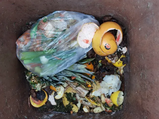 Vermeintlich kompostierbare Plastiksackerl aus dem Supermarkt gehören nicht in die Biotonne, auch nicht auf den Komposthaufen, sondern zum Restmüll. | Foto: MeinBezirk