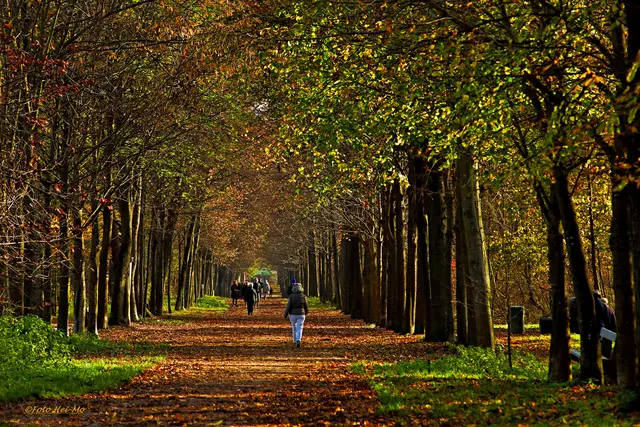 Eine weitere Allee lockt im 17. Bezirk. Die Schwarzenbergallee schließt an den Wienerwald an und führt bis an die Landesgrenze zu Niederösterreich. | Foto: Heinrich Moser