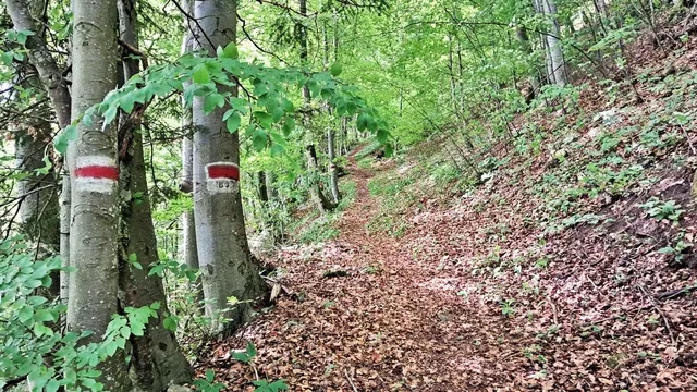 Markierungen und ... | Foto: © Silvia Plischek