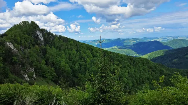 Links der Wendlgupf, rechts zeigt sich ein faszinierendes, weitreichendes Panorama. ... | Foto: © Silvia Plischek