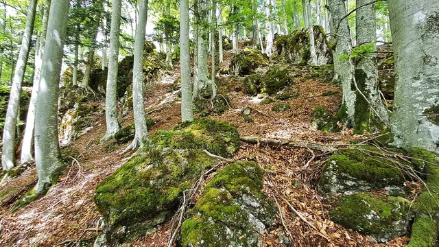 Noch ein Blick zurück! ... ;-) ... | Foto: © Silvia Plischek