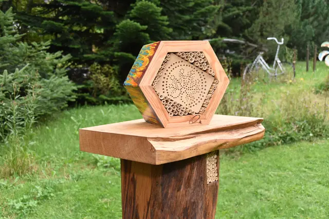 In Österreich gibt es aktuell noch 721 Wildbienenarten. Die Masse von ihnen ist nur ein bis zwei Millimeter groß. 20 Prozent davon nutzen vorhandene Nisthilfen. | Foto: Kainz