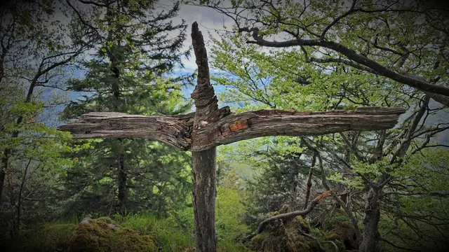 Beim Gipfelkreuz auf 1.110 m Seehöhe angekommen! ... :-) ... | Foto: © Silvia Plischek