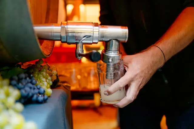 Foto: Karo Pernegger