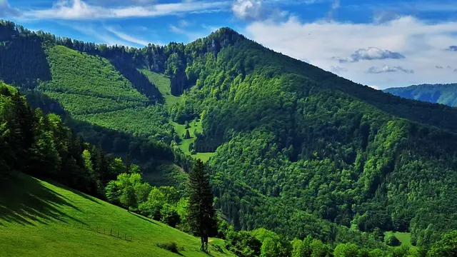 Titelbild 1:  Der Wendlgupf | Foto: © Silvia Plischek