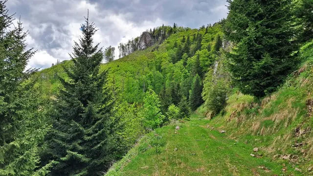 Weiter geht's! ... | Foto: © Silvia Plischek