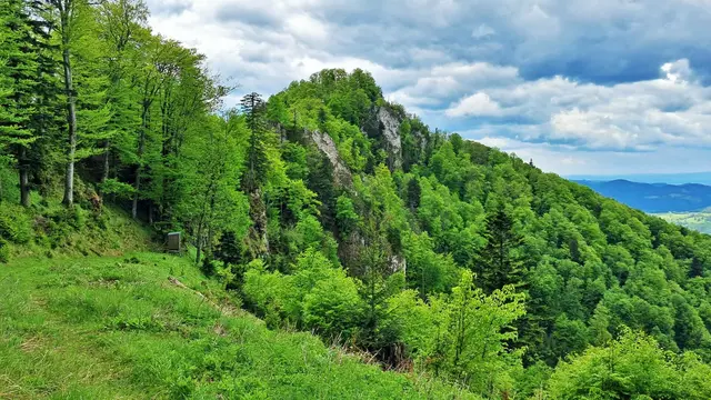 Auf dem Rückweg: Trotz einer nahenden Gewitterfront bietet sich ... | Foto: © Silvia Plischek