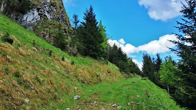 Und weiter geht's! ... ;-) ... | Foto: © Silvia Plischek