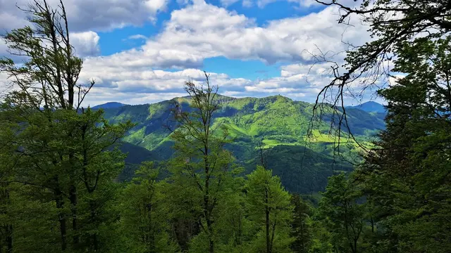 Vom Gipfel des Wendlgupfs der Blick hinüber zur Hinteralm und zum Muckenkogel, ... ein wunderschönes Szenario! ... :-)) | Foto: © Silvia Plischek