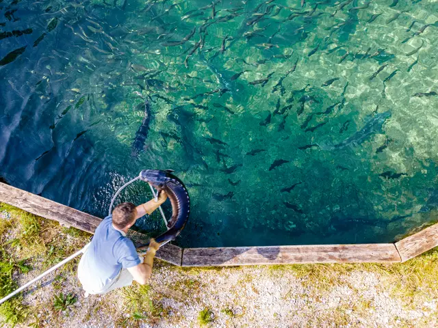 Alpenkaviar | Foto: Oberösterreich Tourismus GmbH, Stefan Mayerhofer