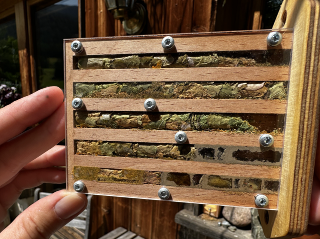 Das Innere einer Nisthilfe. Bienen und Wespen nehmen den Unterschlupf – wenn er ordnungsgemäß gemacht ist – gerne an. | Foto: Farnik