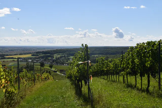 Foto: Michael Strini