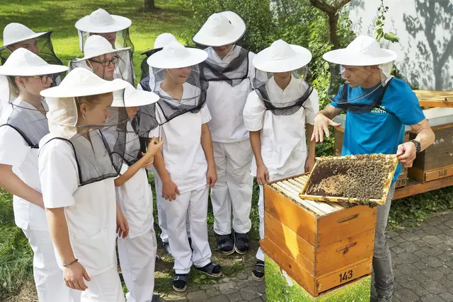 Auch Imker-Kurse sind in der LFS-Warth möglich. | Foto: Lois Lammerhuber