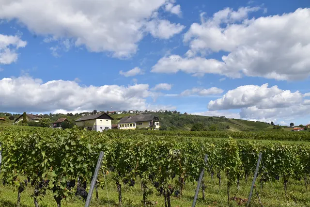 Foto: Michael Strini