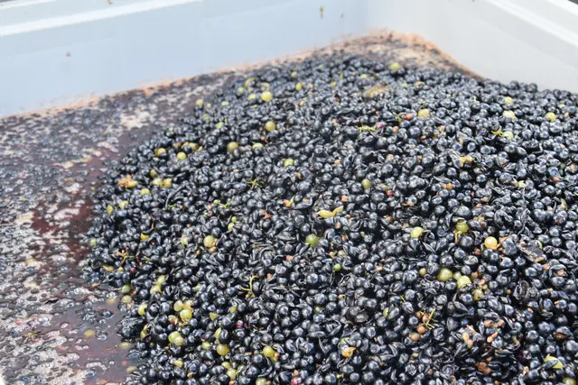 Foto: Michael Strini