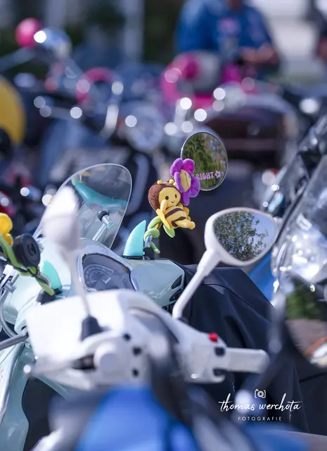 Foto: Thomas Werchota