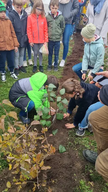 Die Schülerinnen und Schüler packten bei der Pflanzaktion tatkräftig an.  | Foto: Klar Leithaland