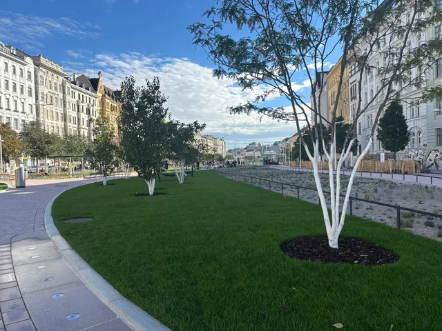 Mehr als 50.000 Pflanzen und knapp 70 Bäume wurden gepflanzt. | Foto: Pia Rotter/MeinBezirk