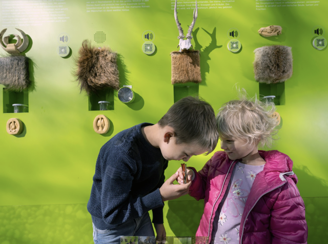 Die Schlossinsel bietet barrierefreie Infoelemente zum Lesen, Hören, Tasten und Riechen, die Hintergrundwissen zu Tieren wie Bibern, Zieseln oder Sumpfschildkröten sowie zum Kreislauf des Lebens vermitteln. | Foto: Dolecek, Haider, Kovacs, Lener, Liebert.