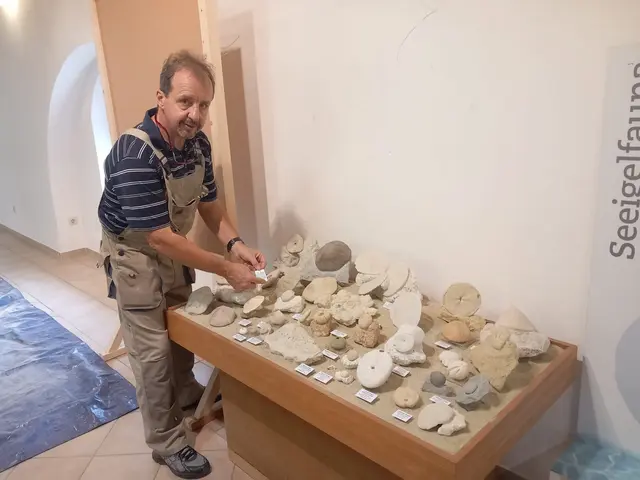 Gerhard Wanzenböck ist Hobbypaläontologe und hat 2008 die Überreste von Seekuh Linda in Gainfarn gefunden, aus einer Zeit als Bad Vöslau noch am Meer lag. | Foto: privat