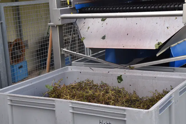 Foto: Michael Strini