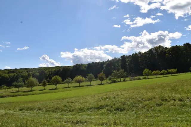 Foto: Michael Strini