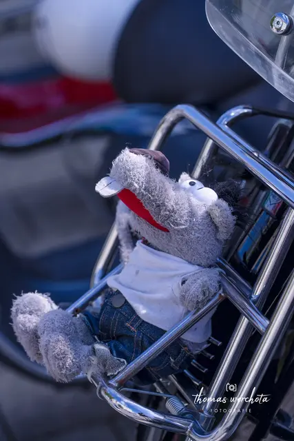 Foto: Thomas Werchota