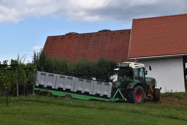 Foto: Michael Strini