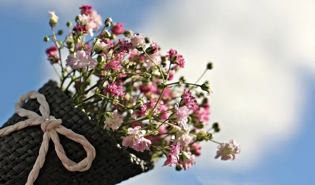 Ein Dank gebührt den vielen Betrieben, durch deren Spendenbeiträge diese Aktion so erfolgreich wurde. | Foto: Symbolfoto: Pixabay