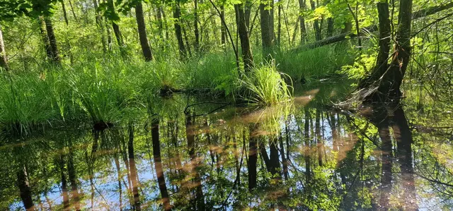 Foto: Berg- und Naturwacht Leibnitz